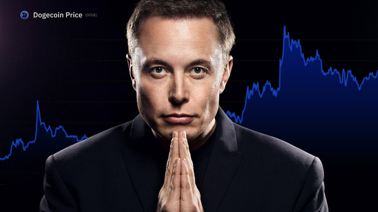 elon_musk_DOGE