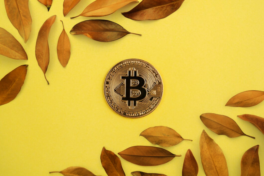 What to buy on November? Set of the coins: analytics and tips
