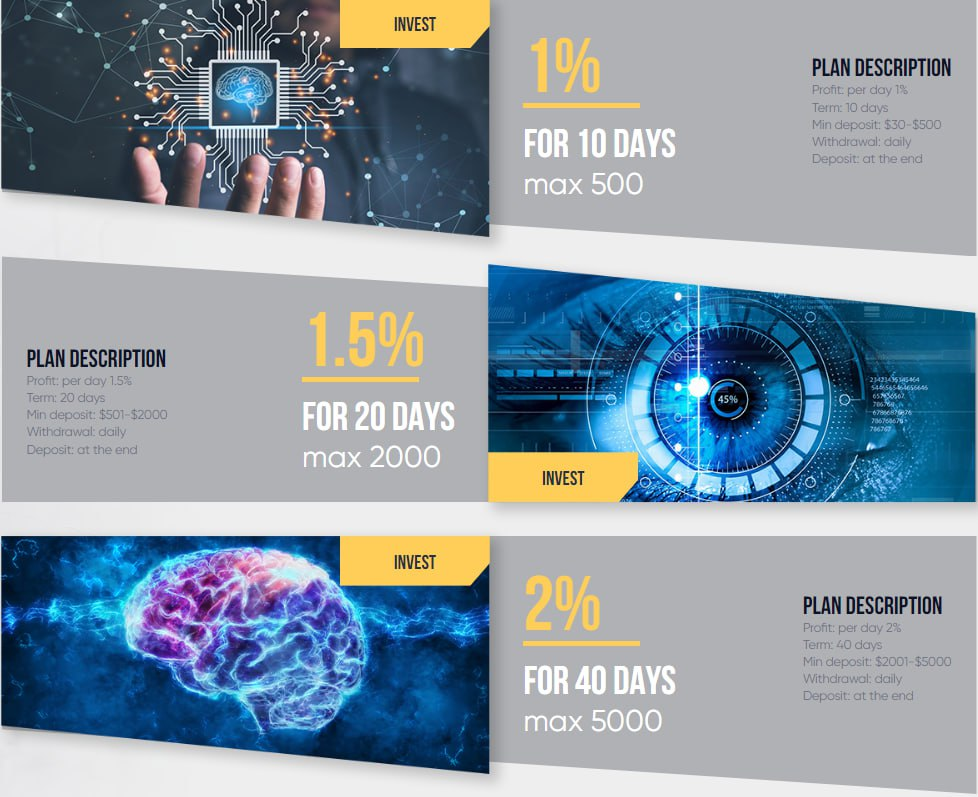 Тарифные планы rewline.io